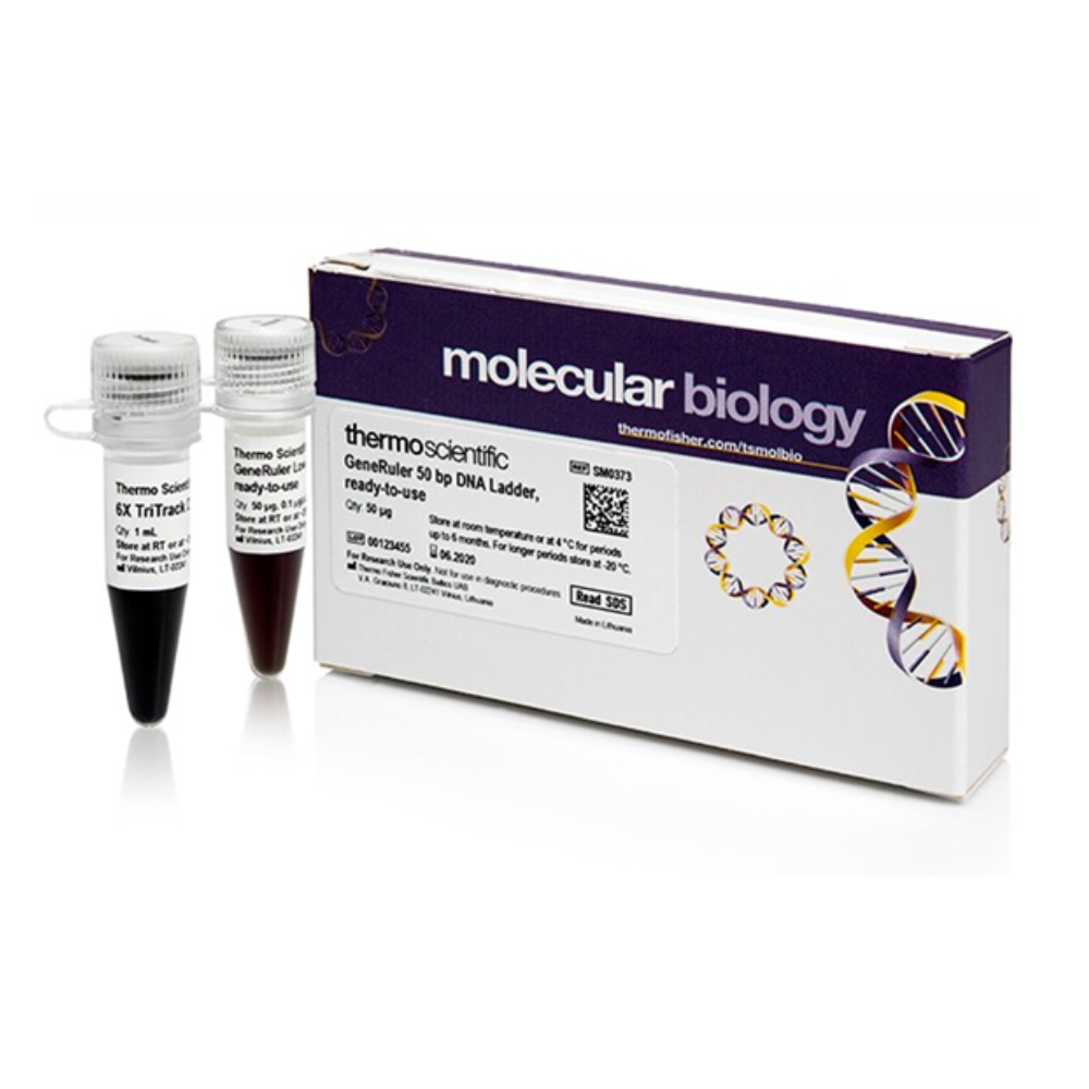 GeneRuler 50 bp DNA Ladder, ready-to-use